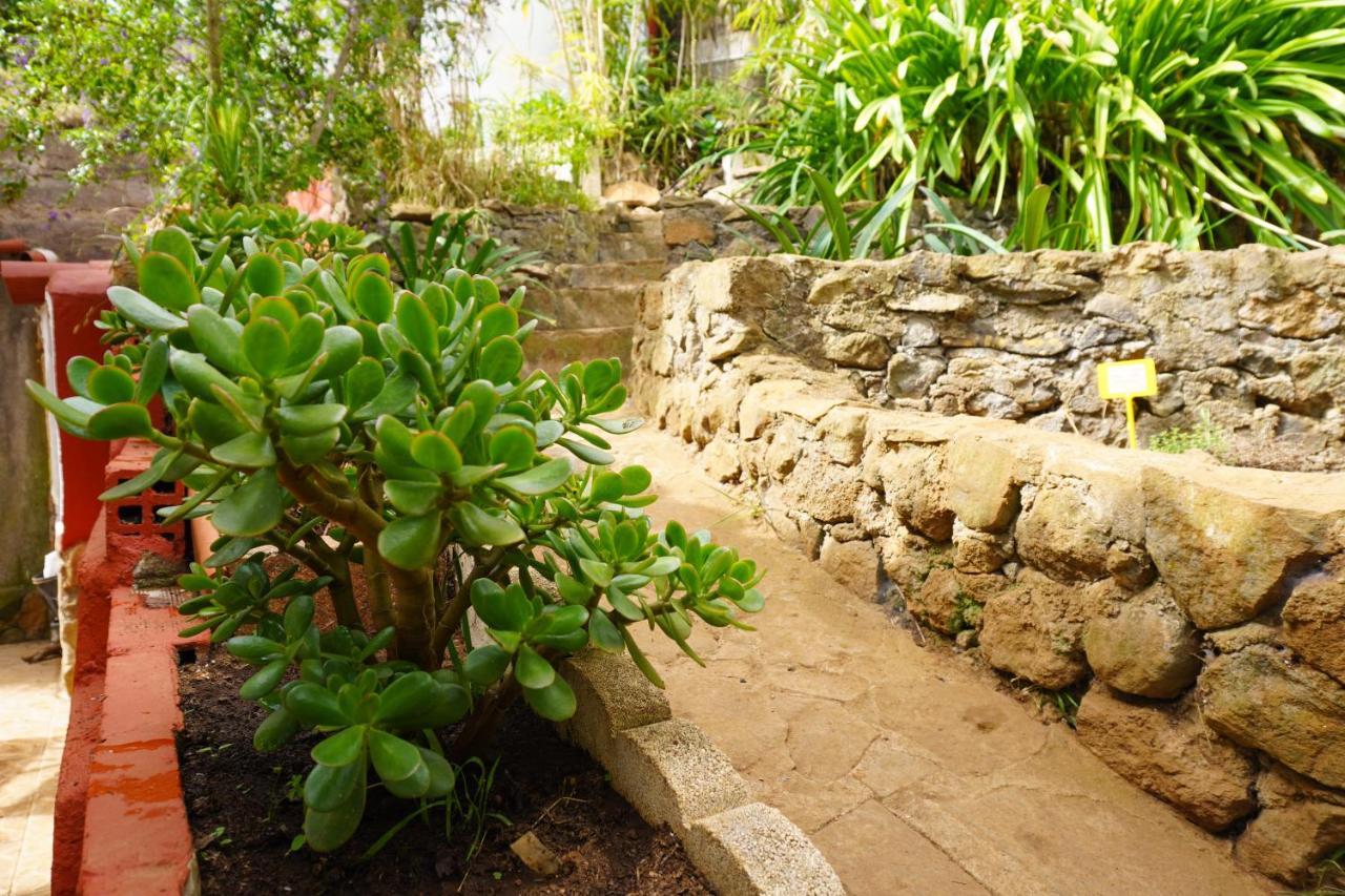 Eco House In Unique Environment Holiday home