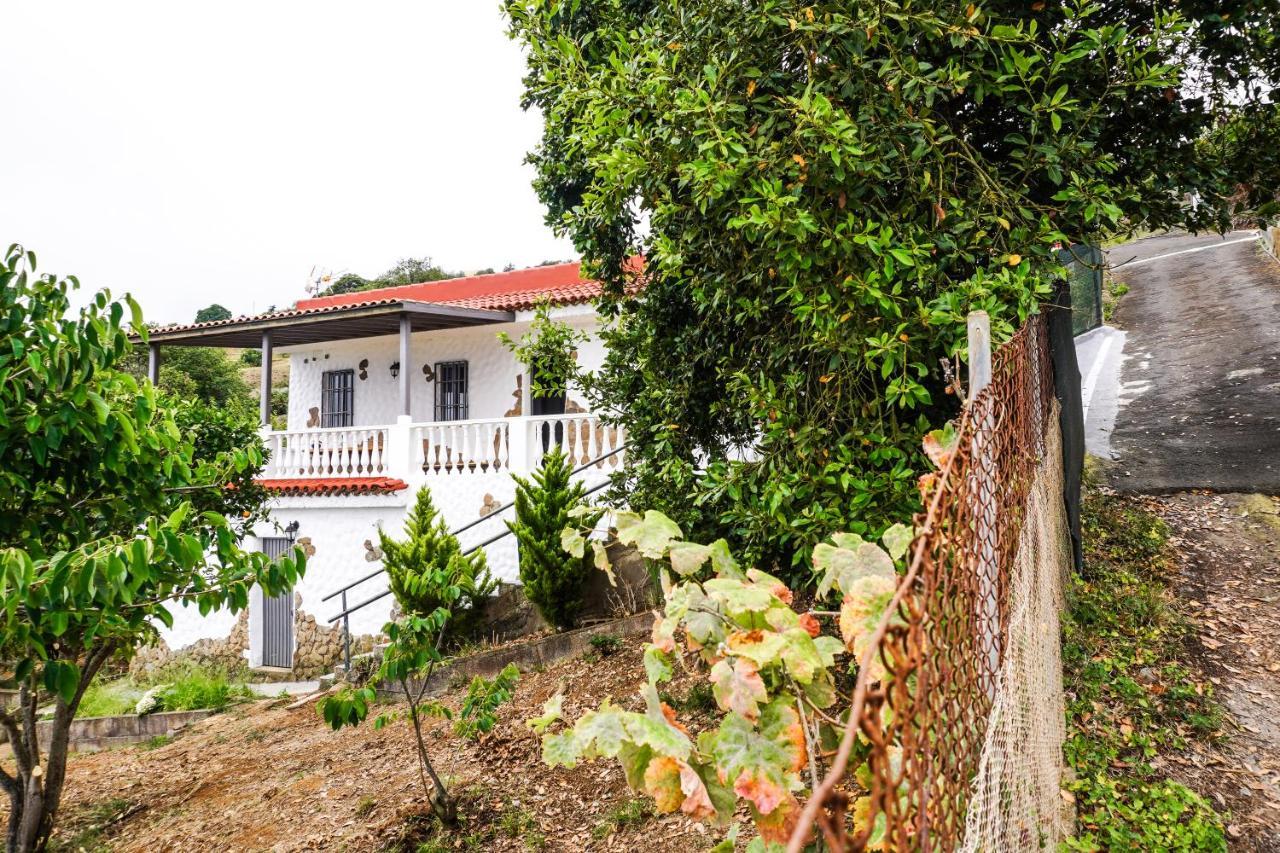 Eco House In Unique Environment La Orotava