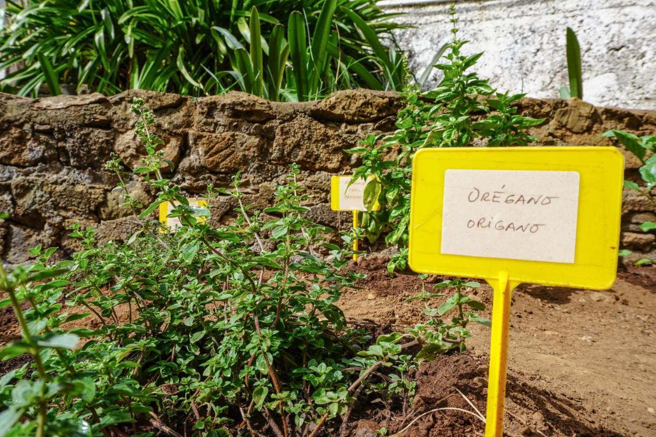 Holiday home Eco House In Unique Environment La Orotava